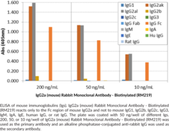 IgG2a (mouse) Rabbit Monoclonal Antibody - Biotinylated (RM219)