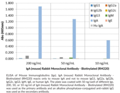 IgA (mouse) Rabbit Monoclonal Antibody - Biotinylated (RM220)