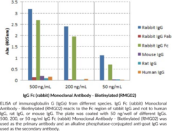 IgG Fc (rabbit) Monoclonal Antibody - Biotinylated (RMG02)
