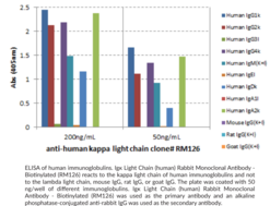 Igκ Light Chain (human) Rabbit Monoclonal Antibody - Biotinylated (RM126)