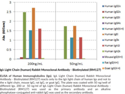 Igλ Light Chain (human) Rabbit Monoclonal Antibody - Biotinylated (RM127)