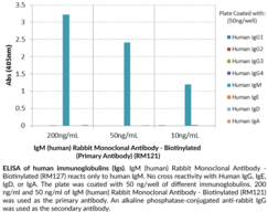 IgM (human) Rabbit Monoclonal Antibody - Biotinylated (RM121)