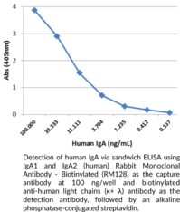 IgA1 and IgA2 (human) Rabbit Monoclonal Antibody - Biotinylated (RM128)