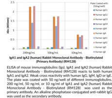 IgA1 and IgA2 (human) Rabbit Monoclonal Antibody - Biotinylated (RM128)
