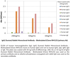 IgA2 (human) Rabbit Monoclonal Antibody - Biotinylated (Clone RM125)