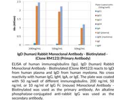IgD (human) Rabbit Monoclonal Antibody - Biotinylated (Clone RM123)