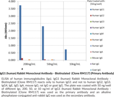 IgG1 (human) Rabbit Monoclonal Antibody - Biotinylated (Clone RM117)