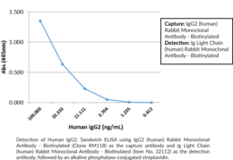 IgG2 (human) Rabbit Monoclonal Antibody - Biotinylated (Clone RM118)