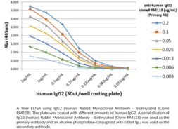 IgG2 (human) Rabbit Monoclonal Antibody - Biotinylated (Clone RM118)