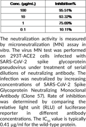 SARS-CoV-2 Spike Glycoprotein Neutralizing Monoclonal Antibody (Clone 57)
