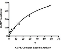 AMPK Complex (α1, β1, and γ1 subunits; human, recombinant)