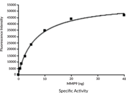 MMP-9 Q279R Variant (human, recombinant)