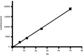 PARP2 (human, recombinant)