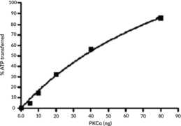 PKCα (human, recombinant)