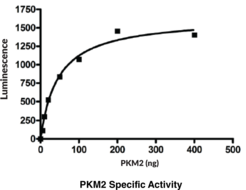 PKM2 (human, recombinant)