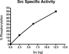 Src (human, recombinant)