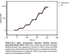SARS-CoV-2 Spike Glycoprotein Receptor Binding Domain (recombinant; aa 21-243, 319-541) (His-tagged)