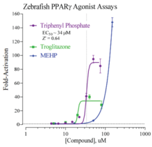 Zebrafish Peroxisome Proliferator-Activated Receptor Gamma Reporter Assay System (nr1c3, PPARG, PPARγ)