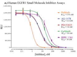 Human Epidermal Growth Factor Receptor 1 Reporter Assay System