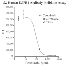 Human Epidermal Growth Factor Receptor 1 Reporter Assay System