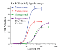Rat Progesterone Receptor Reporter Assay System (nr3c3, rPGR, rPR)