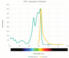 Activated SureLight™ R-Phycoerythrin (R-PE)