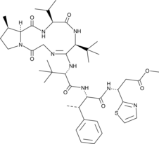 Bottromycin A2 (CAS Number: 15005-62-6)
