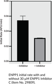ENPP1 (human, recombinant)
