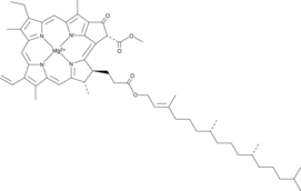 Chlorophyll a (CAS Number: 479-61-8)