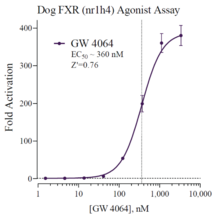 Dog Farnesoid X Receptor Reporter Assay System