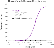 Human Growth Hormone Receptor, isoform 1 Reporter Assay System (Human GHR)