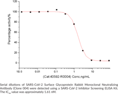 SARS-CoV-2 Surface Glycoprotein Rabbit Monoclonal Neutralizing Antibody (Clone 004)