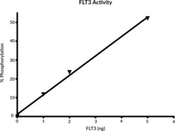 FLT3/CD135 Intracellular Domain (human, recombinant)