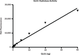 GLS1 (human, recombinant)