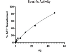 GSK3β (human, recombinant)