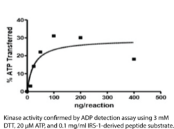 JAK1 (human, recombinant)