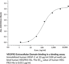 VEGFR3 Extracellular Domain (human, recombinant)