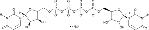 Diquafosol (sodium salt) (INS365, KPY 998, CAS Number: 211427-08-6)
