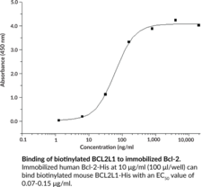 Bcl-2 (human, recombinant)