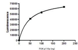 PI3K p110γ (human, recombinant)
