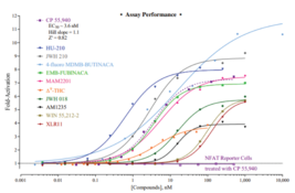 Human Cannabinoid Type 1 Receptor Reporter Assay System (Cannabinoid Receptor 1, CANN6, CB1, CB1A, CB1K5, CB1R, CB-R, CNR, CNR1)