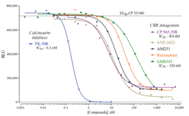 Human Cannabinoid Type 1 Receptor Reporter Assay System