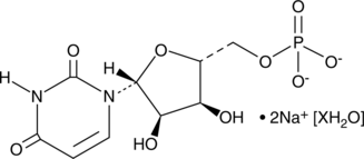 Uridine-5'-monophosphate (sodium salt hydrate) (UMP, 5'-UMP, 5'-Uridylic Acid, CAS Number: 681435-27-8)