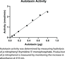 Autotaxin (human, recombinant; mammalian expressed)