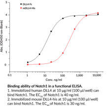 Notch1 (mouse, recombinant; aa 19-526)