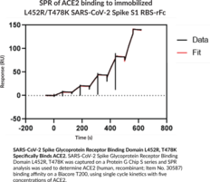 SARS-CoV-2 Spike Glycoprotein Receptor Binding Domain L452R, T478K variant (rabbit IgG1 Fc-tagged)