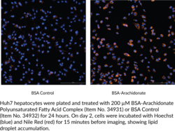 BSA-Arachidonate Polyunsaturated Fatty Acid Complex (1 mM)