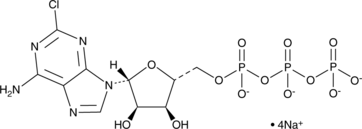 2-Chloroadenosine 5-triphosphate (sodium salt) (2-chloro ATP, CAS Number: 301334-89-4)