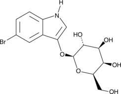 5-bromo-3-indolyl-β-D-Galactopyranoside (Bluo-Gal, CAS Number: 97753-82-7)