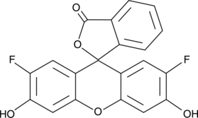 Oregon Green™ 488 (OG 488, 2’,7’-Difluorofluorescein, CAS Number: 195136-58-4)